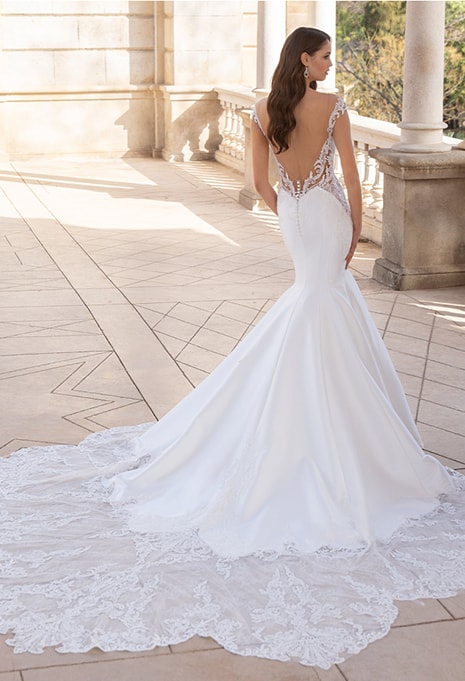 elysée stephane wedding dress back side