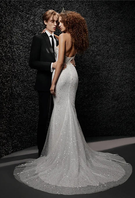 back of vera wang lilie gown