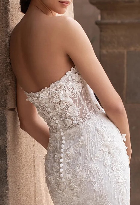 back view of Pronovias Aethra wedding dress