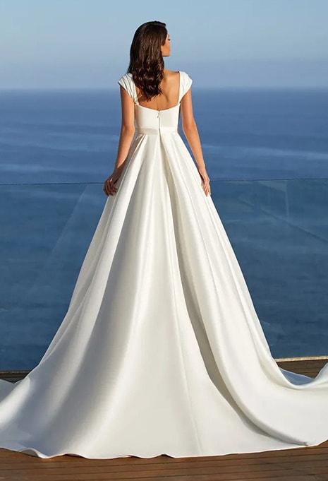 pronovias-dominique-dress-image-2 back view of Pronovias Dominique wedding dress