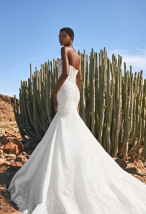 back view of Pronovias Fingal wedding dress