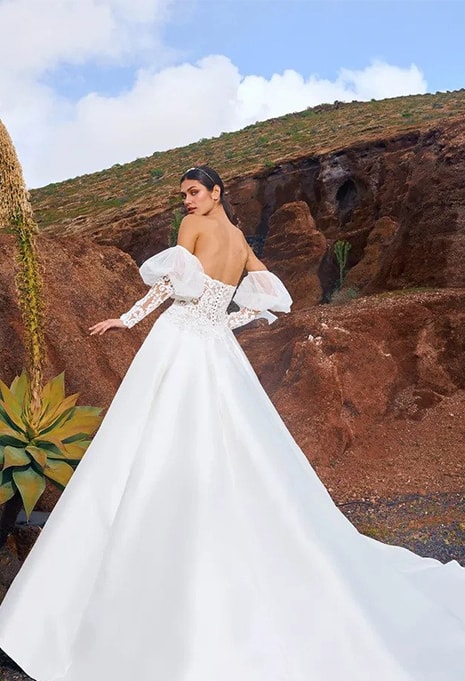 pronovias-rethi-dress-image-3 back side of Pronovias Rethi wedding dress