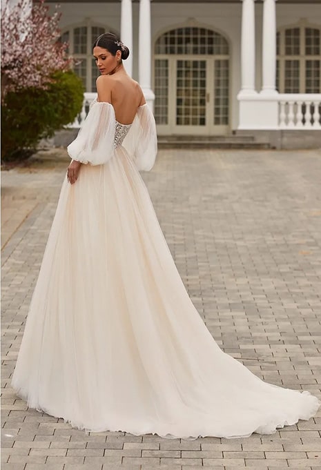 back of pronovias dress wedding gown