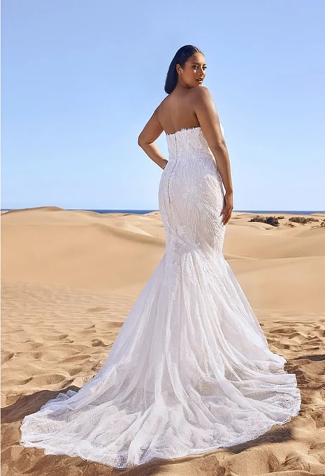 bride modeling back of pronovias lansbury gown