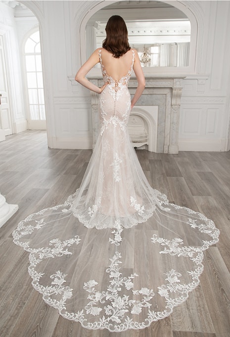 back view of Etoile Sydney wedding dress