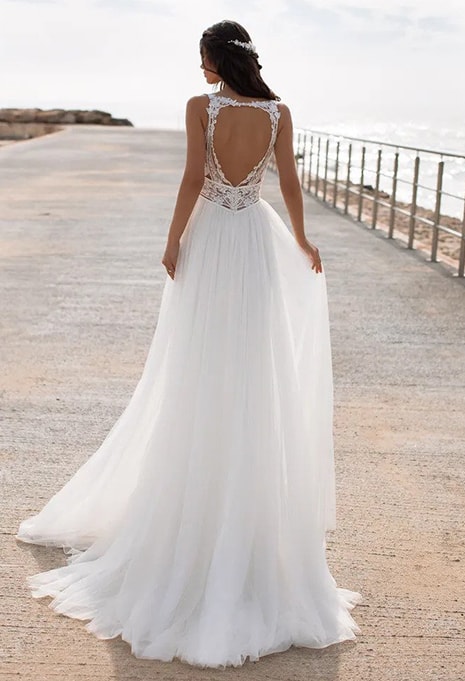pronovias-charisse-dress-image-1 back view of Pronovias Charisse wedding dress