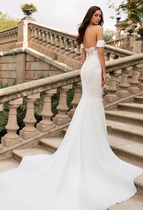 pronovias-dante-dress-image-1 back view of Pronovias Dante wedding dress