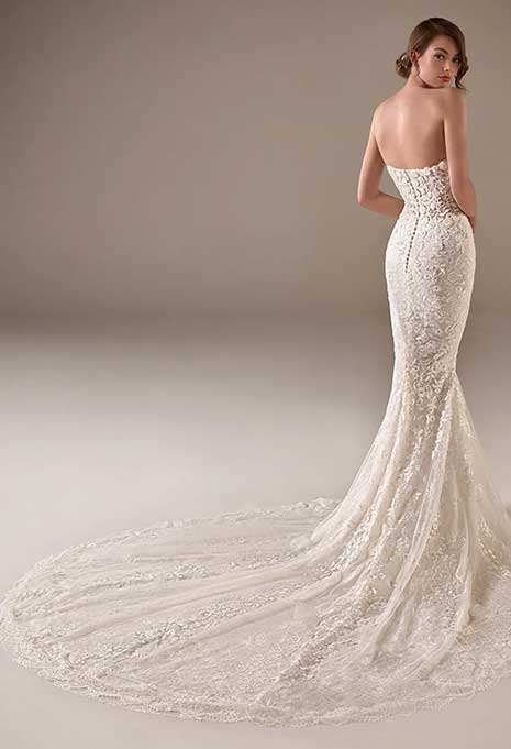 pronovias jameela back and train