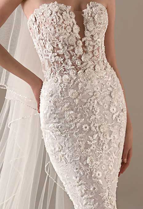 pronovias jameela embroidery detail