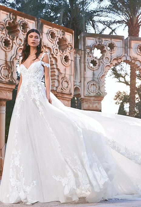 front view of Pronovias Terjit wedding dress