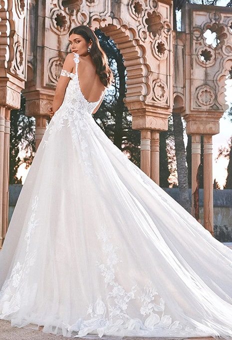 back view of Pronovias Terjit wedding dress
