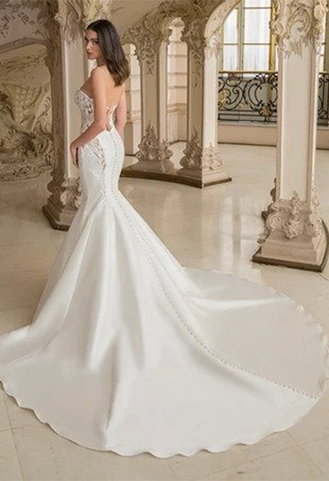 back view of Elysee Cassiopeia wedding dress