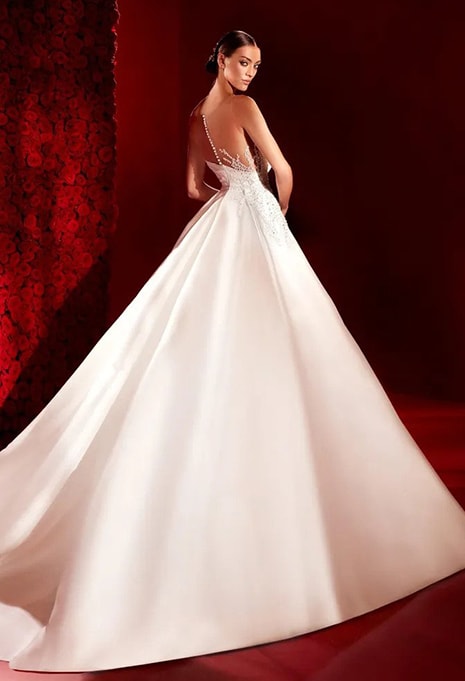 back view of Pronovias Atelier Norman wedding dress