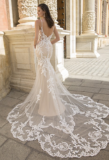 back view of Élysée Etoile Annika wedding dress