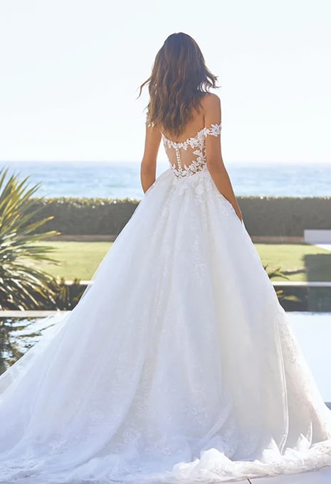 pronovias-delphine-dress-image-2 bride modeling back of delphine gown