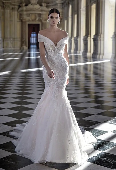 front view of Pronovias Privée Cassandra wedding dress