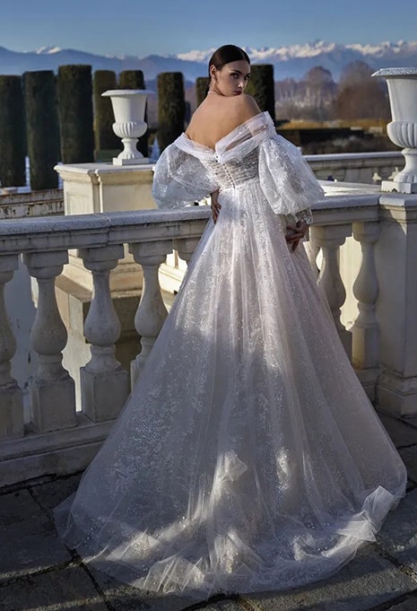 back side of Pronovias Privée Ginerva wedding dress