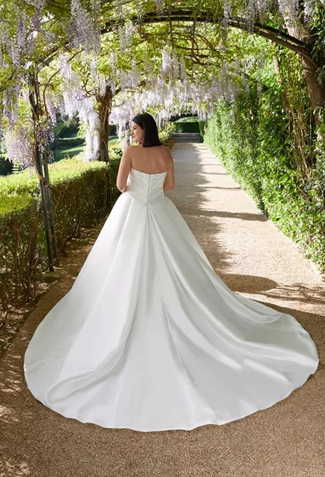 back view of Elysee Delancey X Édition wedding dress