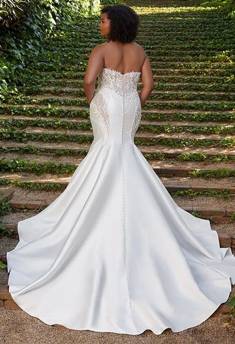 back view of Élysée Cassiopeia X Édition wedding dress