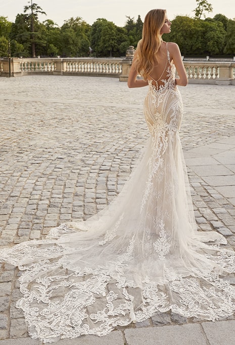 back side of Élysée Daphne wedding dress