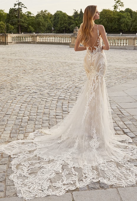 elysée-daphne-dress-image-3 back side of Élysée Daphne wedding dress