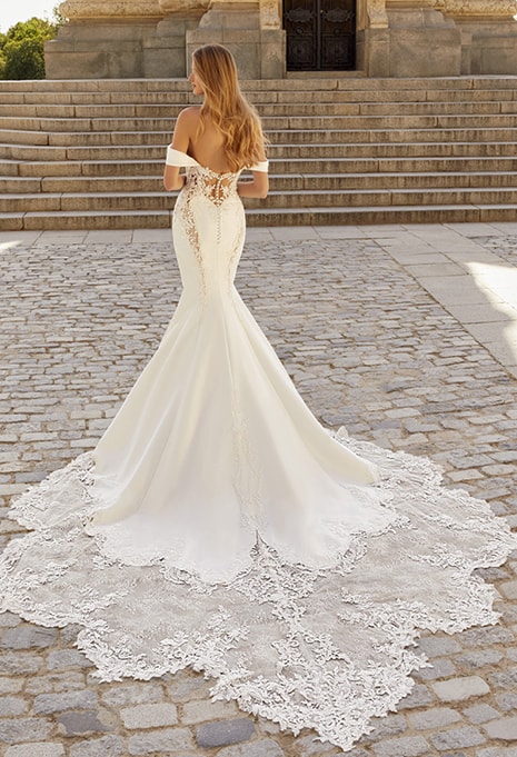 back side of Élysée Lara wedding dress