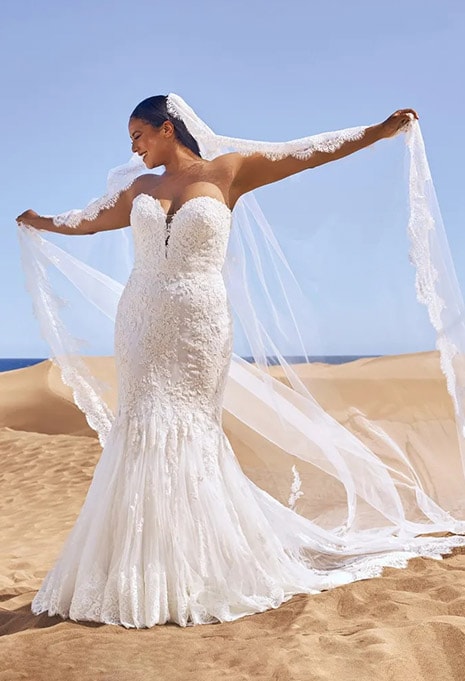 Pronovias Ermin wedding dress