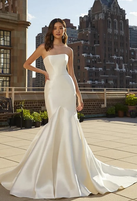 front view of Pronovias Oberon wedding dress