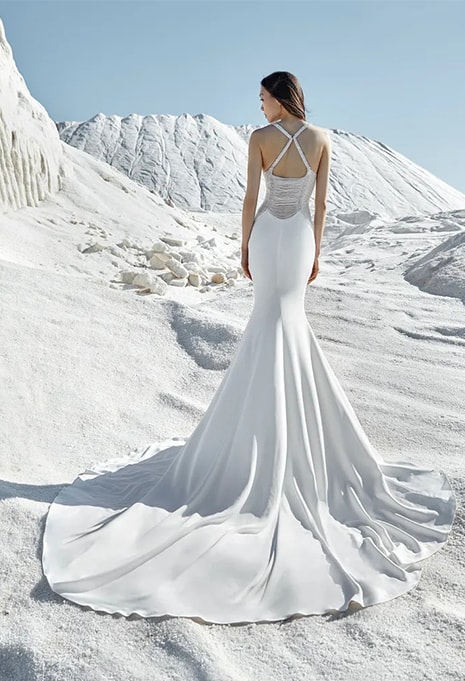 back view of Pronovias Atelier Angelic wedding dress