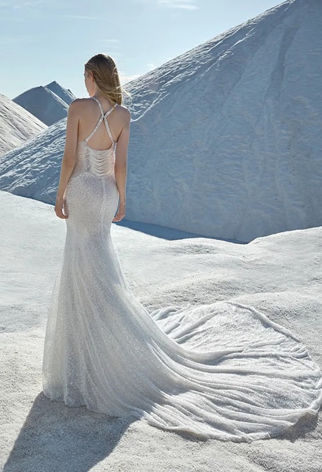 back view close-up Pronovias Atelier Angelic wedding dress