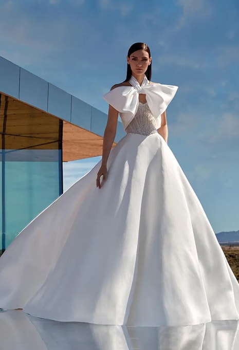 Pronovias Privée Palladium wedding dress front view