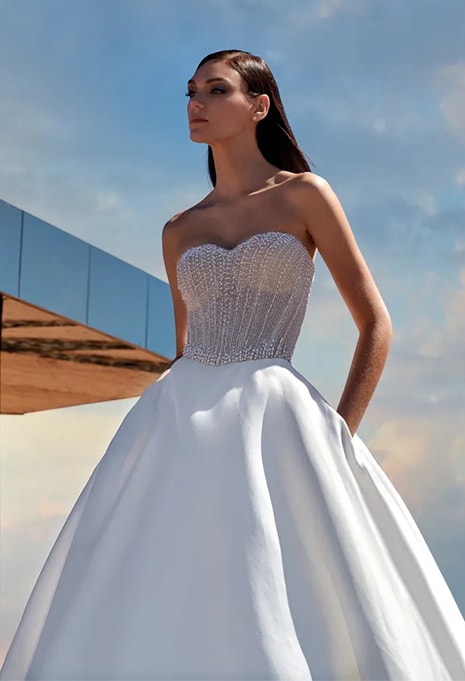 Pronovias Privée Palladium wedding dress