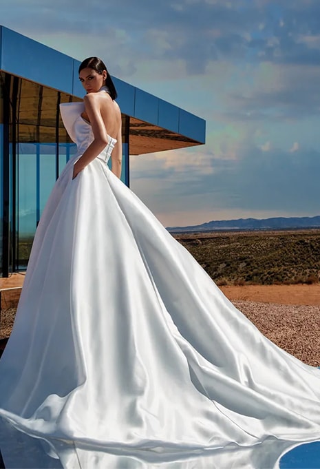 side view of Pronovias Privée Palladium wedding dress