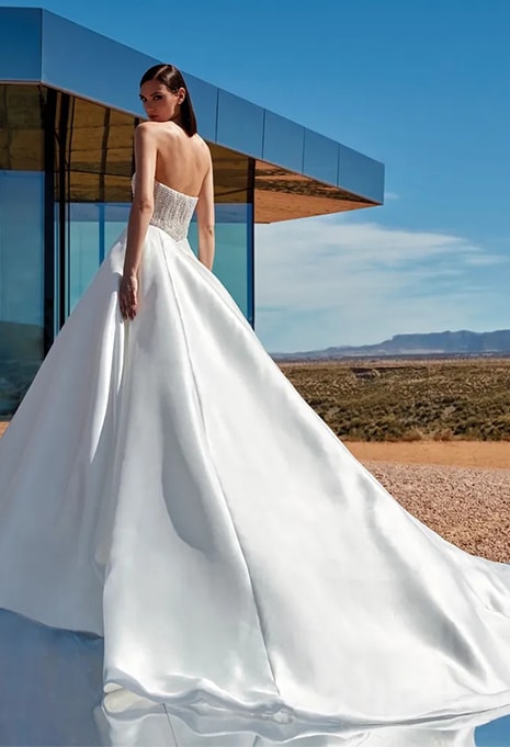 side view of Pronovias Privée Palladium wedding dress