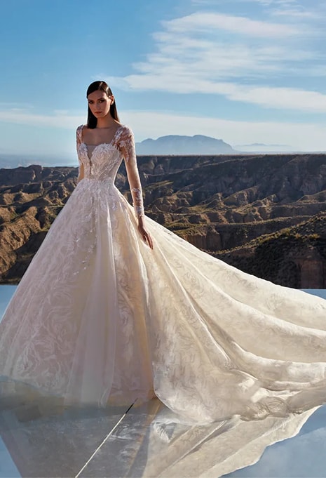 front view of Pronovias Privée Platinum wedding dress