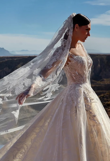 side view of Pronovias Privée Platinum wedding dress