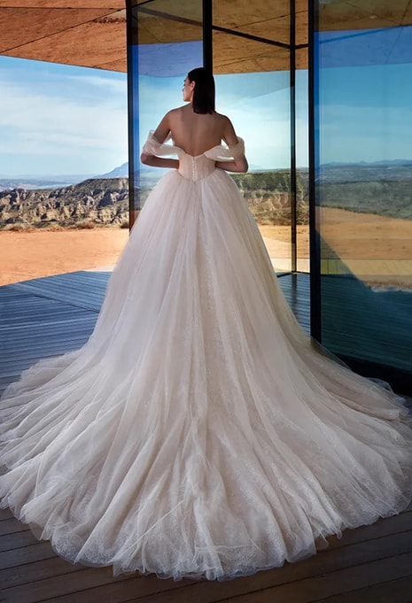 back view of Pronovias Privée Stardust wedding dress