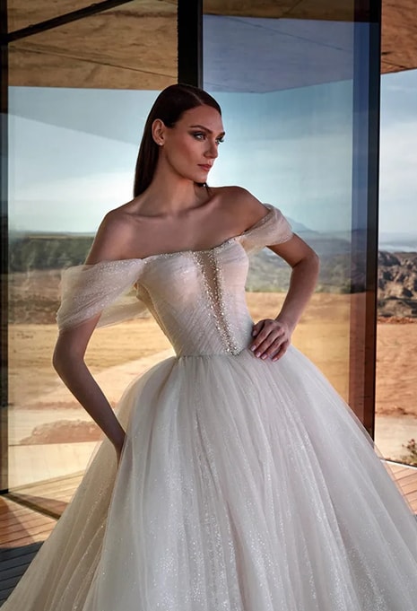 front view of Pronovias Privée Stardust wedding dress