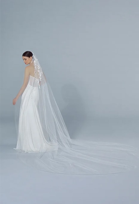 back view of Pronovias V-LA32 veil