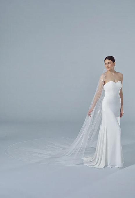 front view of Pronovias V-LA38 veil