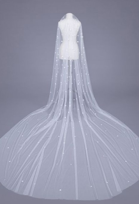 Pronovias V-Hopkins veil