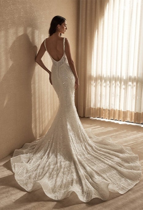back view of Blanche Bridal Celine wedding gown