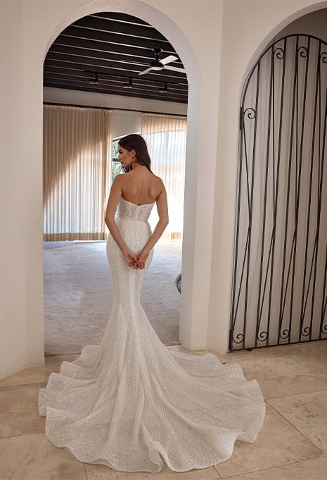 back view of Blanche Bridal Rayne wedding gown