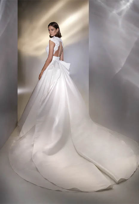 side view of Pronovias Ambrielle wedding gown