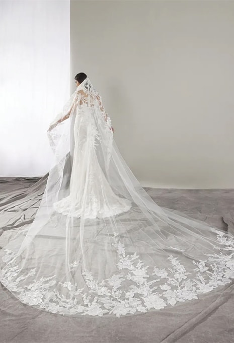 back view of Pronovias Hart wedding gown