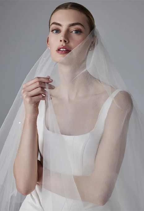 close-up front view of Pronovias Dennise wedding gown