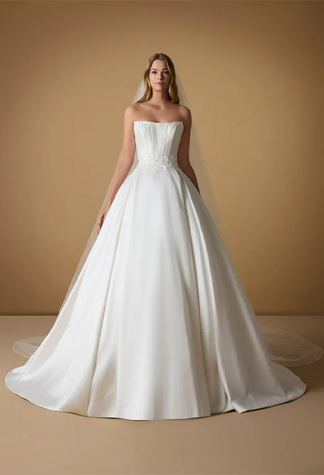 front view of Pronovias Nicole Alakhe wedding gown