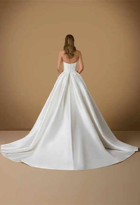 back view of Pronovias Nicole Alakhe wedding gown