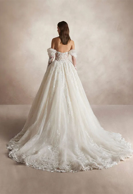 back view of Pronovias Nicole Jalal wedding gown