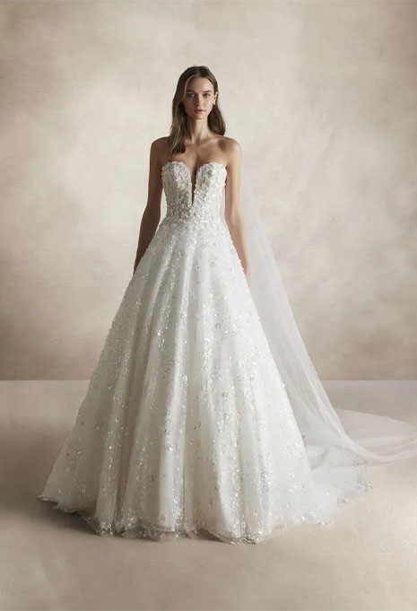 Pronovias Nicole Milano Aiez wedding gown